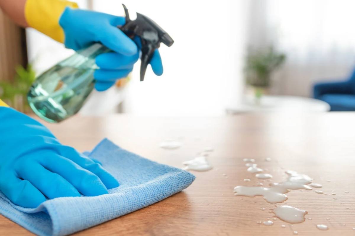 [Stanza luminosa e pulita con mobili senza polvere visibile]