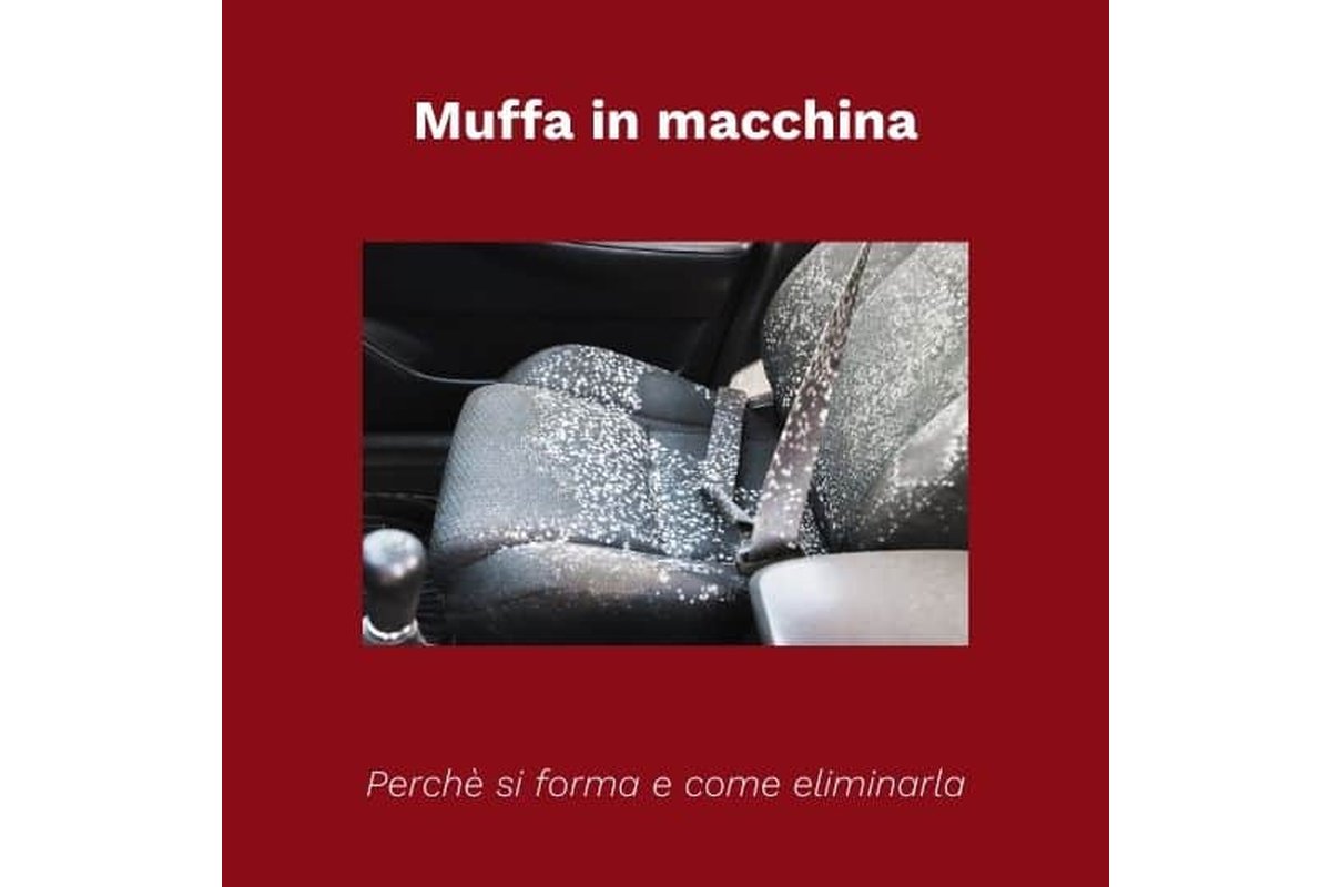 Vista ravvicinata di un filtro dell'aria dell'auto sporco e ammuffito.