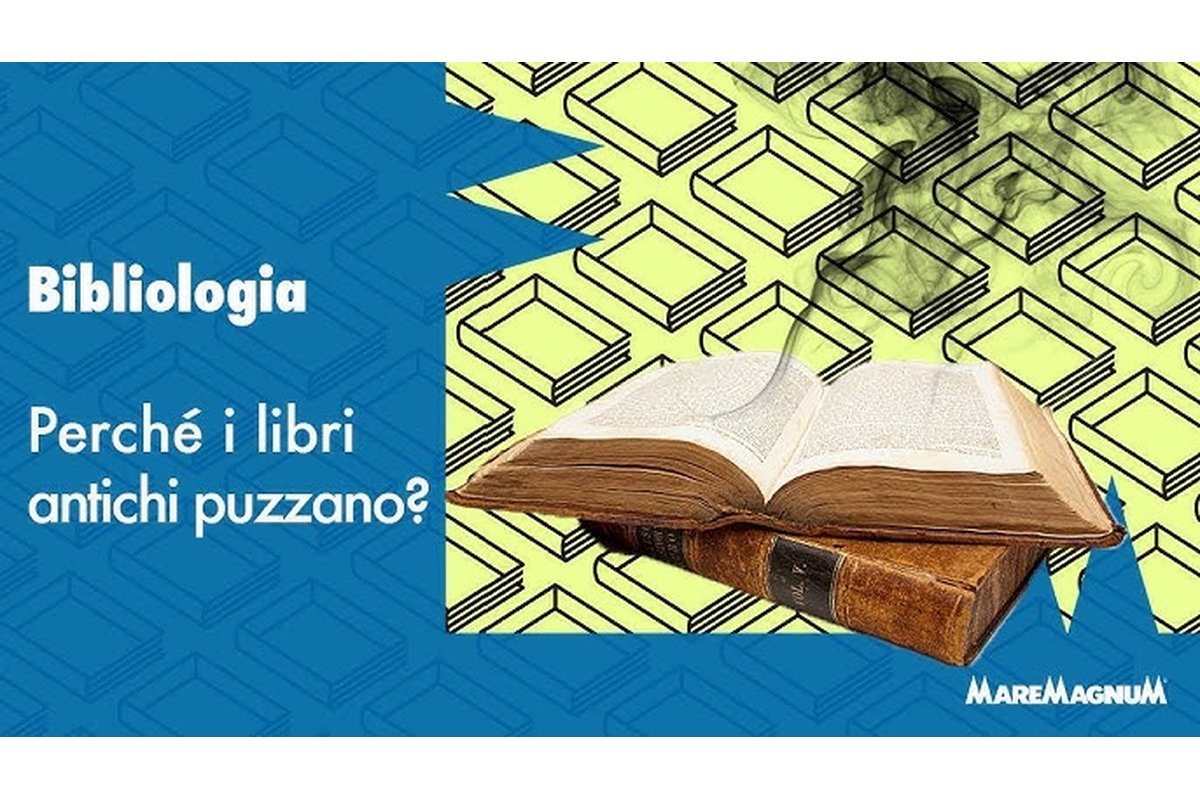 Un libro antico con pagine ingiallite su uno scaffale polveroso.