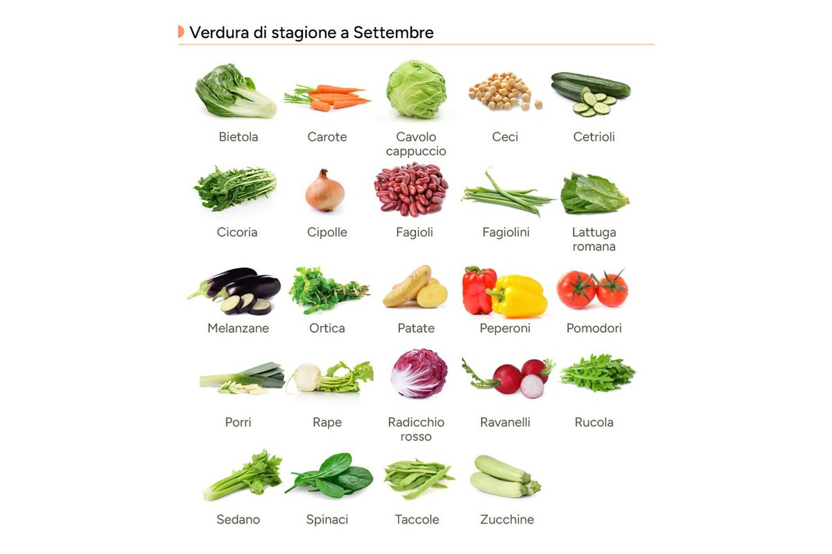 Verdure fresche conservate in contenitori ermetici in frigorifero.